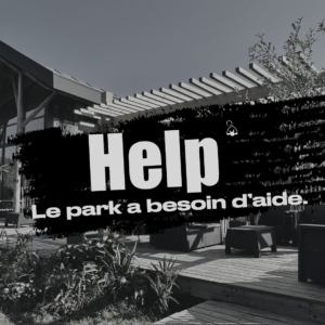 Un café pour nous sauver